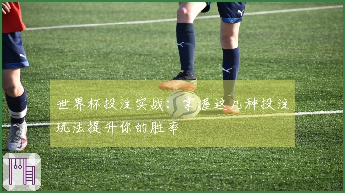 世界杯投注实战：掌握这几种投注玩法提升你的胜率