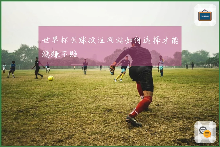 世界杯买球投注网站如何选择才能稳赚不赔