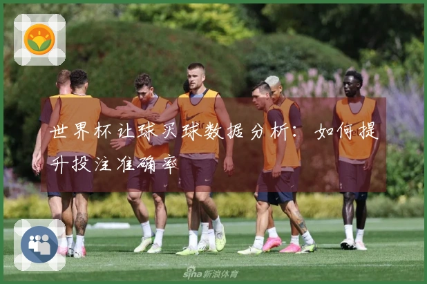 世界杯让球买球数据分析：如何提升投注准确率