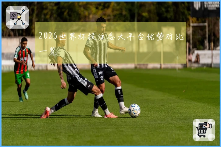 2026世界杯投注各大平台优势对比一览