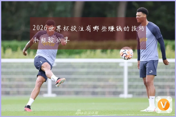2026世界杯投注有哪些赚钱的技巧和经验分享