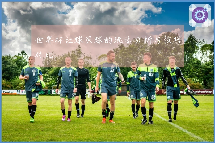 世界杯让球买球的玩法分析与技巧对比